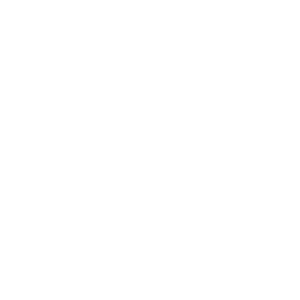 Logo hotel des vosges
